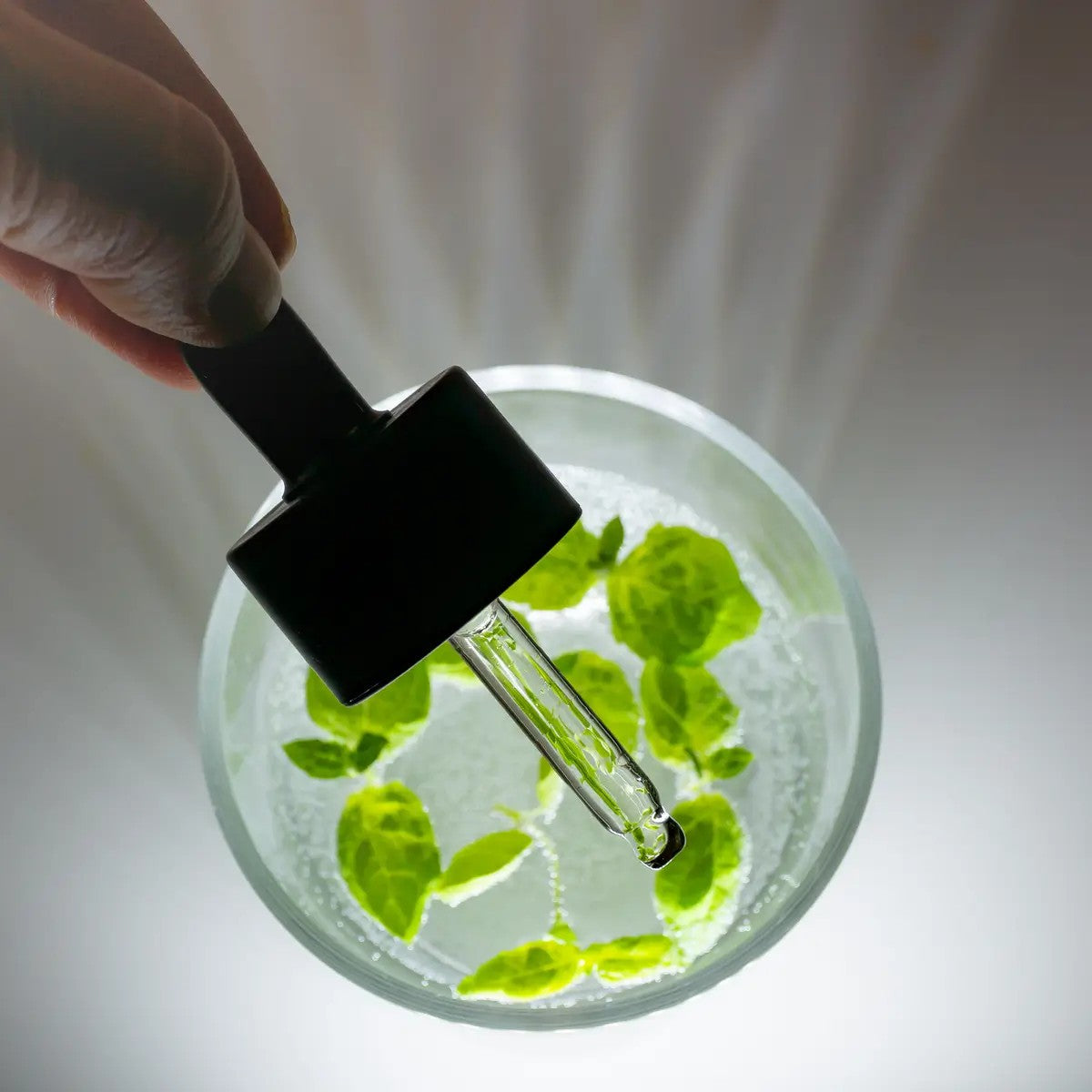 Rainforest Omega Rich -öljyseerumi, 30ml