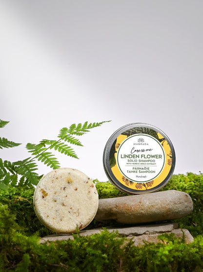 Kiinteä lehmuskukkashampoo pohjoismaisella koivuuutteella